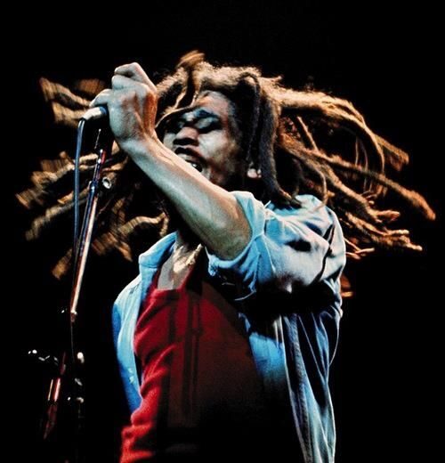 Montego Bay: Bob Marley Tour to 9 Mile, St. Ann - Should you book this Montego Bay to 9 Mile tour?