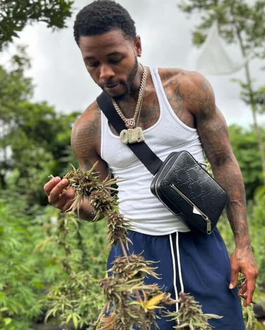 Montego Bay: Cannabis Farm, Bamboo Rafting, & Foot Massage - Three Stops, One Smooth Half-Day: Montego Bay’s Culture-and-Calm Formula
