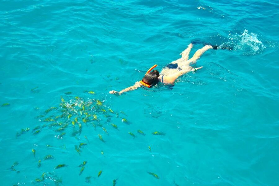 Montego Bay Catamaran Cruise and Snorkeling Tour - Montego Bay catamaran cruise: the half-day format that actually feels like a break