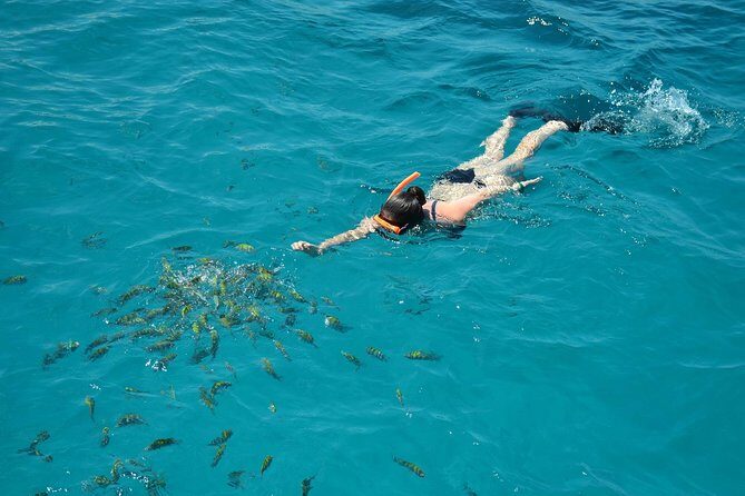 Montego Bay Catamaran Cruise and Snorkeling Tour from Falmouth - Cruising the Montego Bay Coastline: Music, Sun, and Drinks