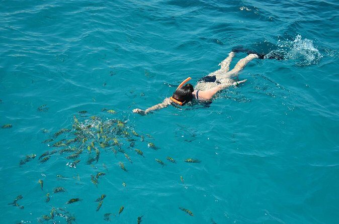 Montego Bay Catamaran Cruise and Snorkeling Tour from Falmouth - Snorkeling in the Caribbean: What’s Included and What to Expect
