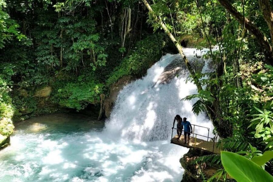 Montego Bay: Chuck Norris Falls & Dunn's River Falls Tour - Dunn’s River Falls Climb: Wet Water Pools or Dry Stairs