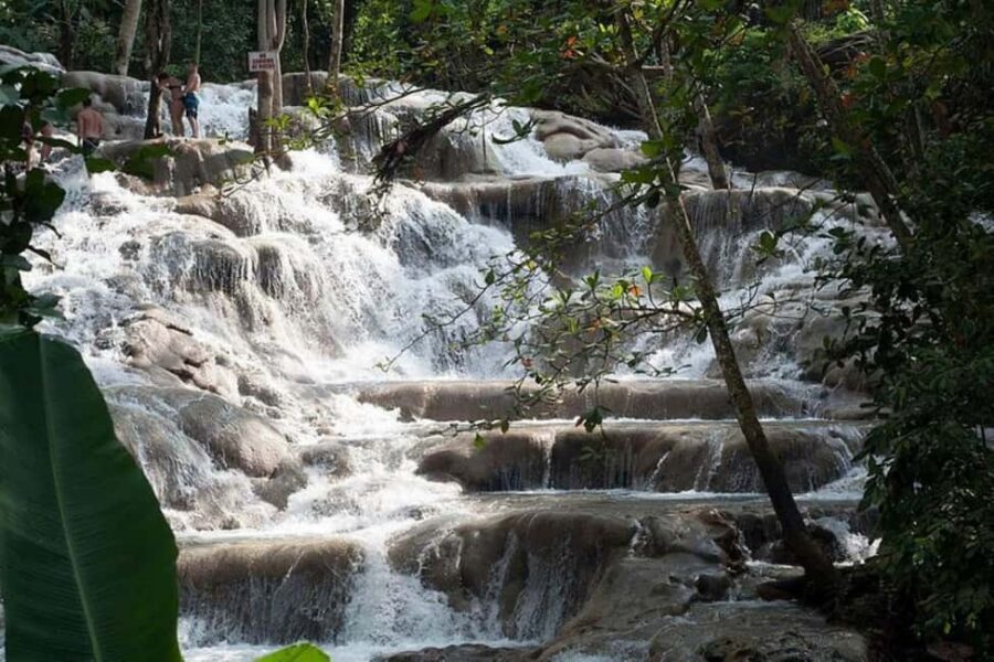 Montego Bay: Chuck Norris Falls & Dunn's River Falls Tour - The Blue Hole Stop: Spring-Fed Water and a Cave-Under-Water Bonus