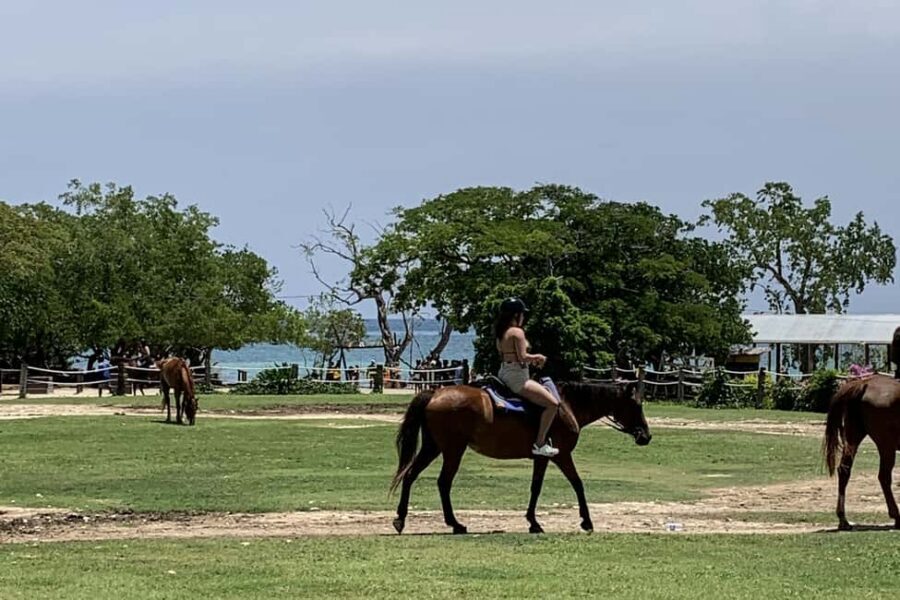 Montego Bay: Day Trip with Zipline, ATV, and Horseback Ride - Five Hours, Private Ride: How This Day Trip Works in Practice