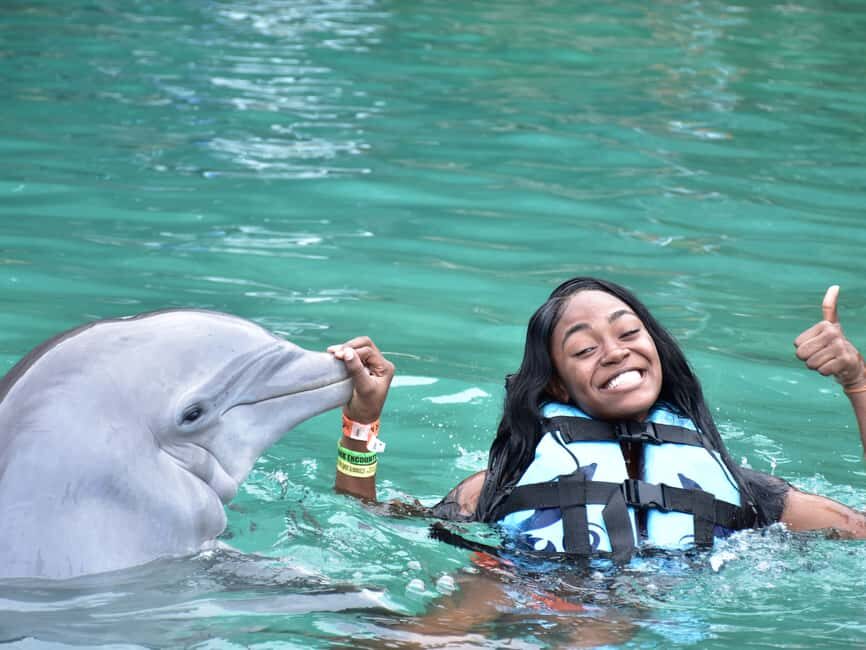 Montego Bay: Dolphin Cove Ocho Rios Day Trip - Key highlights before you go