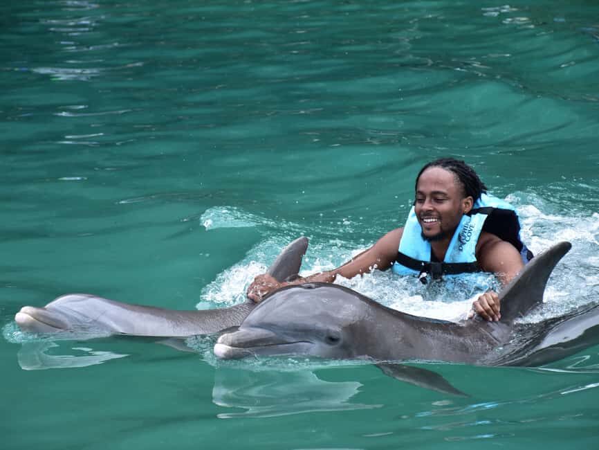 Montego Bay: Dolphin Cove Ocho Rios Day Trip - The 7-hour plan: how to think about your time