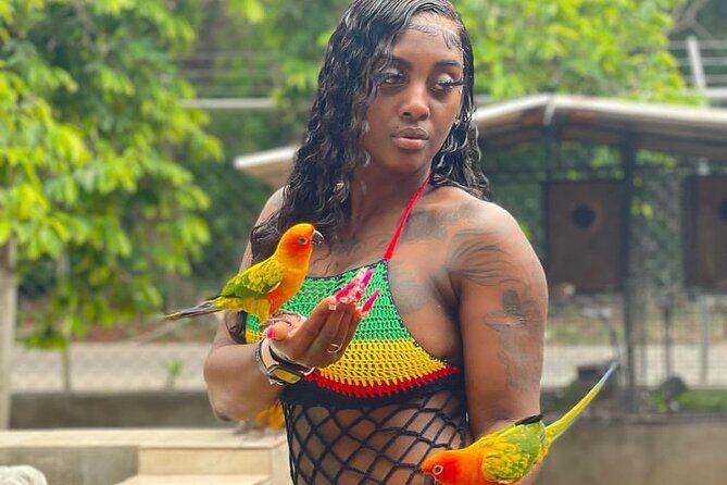 Montego Bay Exotic Herbs, Birds and Animals Interaction Tour - Ironshore animal interaction: birds, rabbits, ducks, and close-up feeding