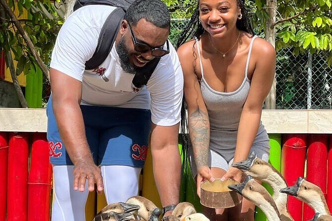 Montego Bay Exotic Herbs, Birds and Animals Interaction Tour - Photos and gift-shop bonus: how to get the best keepsakes