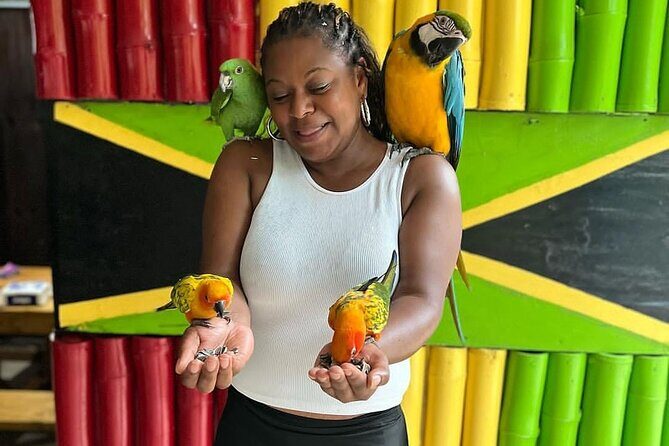 Montego Bay Exotic Herbs, Birds and Animals Interaction Tour - Price value: what $95 includes (and why it adds up)