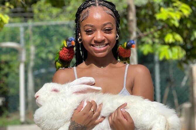 Montego Bay Exotic Herbs, Birds and Animals Interaction Tour - Who this tour fits best (and who might prefer something else)