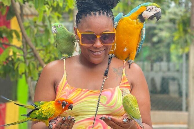 Montego Bay Exotic Herbs, Birds and Animals Interaction Tour - Getting there fast: pickup, air-conditioned vehicle, and a tight 2-hour plan