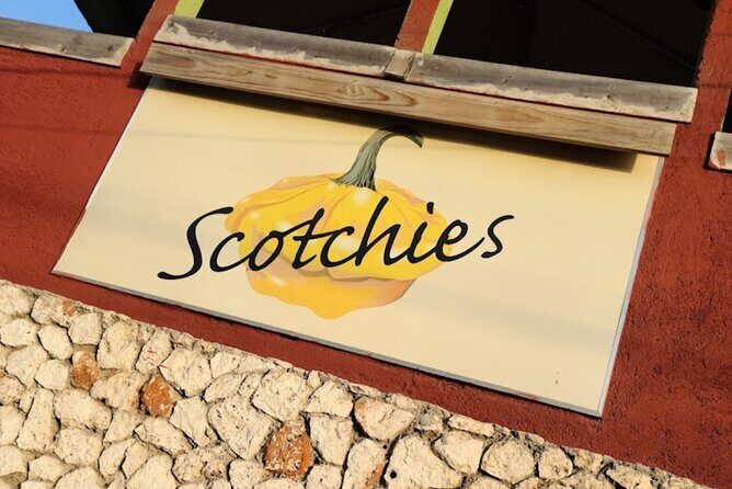 Montego Bay & Falmouth Hotels, Souvenir Shopping and sightseeing - Pickup, Private Minibus, and a 1–3 Hour Reality Check