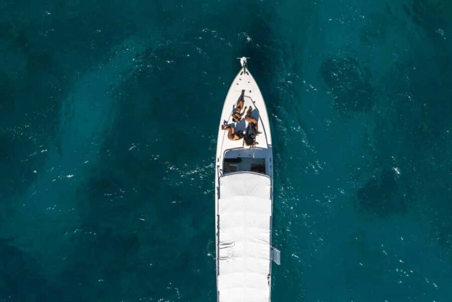 Montego Bay: Full-Day Speedboat Trip to Negril - Who This Trip Fits Best (and Who Should Skip It)