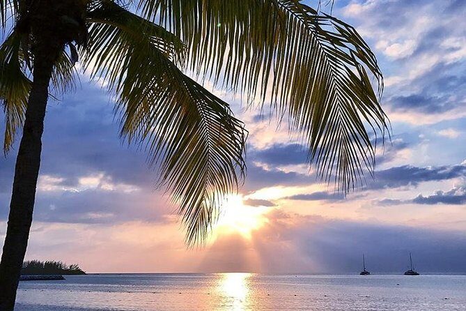 Montego Bay Highlights Tour from Montego Bay - The Hip Strip: Shops, Bars, and Beaches Without the Guesswork