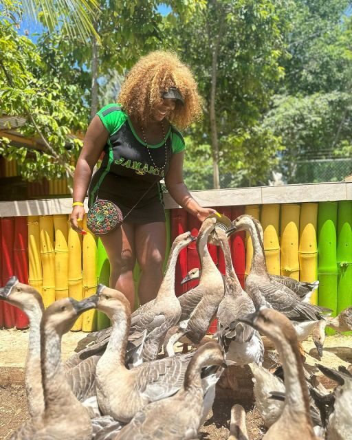 Montego Bay: Marijuana Farm and Bird Sanctuary Tour - Exotic Bird Sanctuary: The Best Part, Plus a Welfare Reality Check