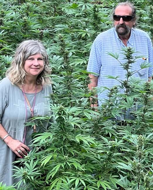 Montego Bay: Marijuana Farm Private Tour with Transportation - Key highlights worth planning around