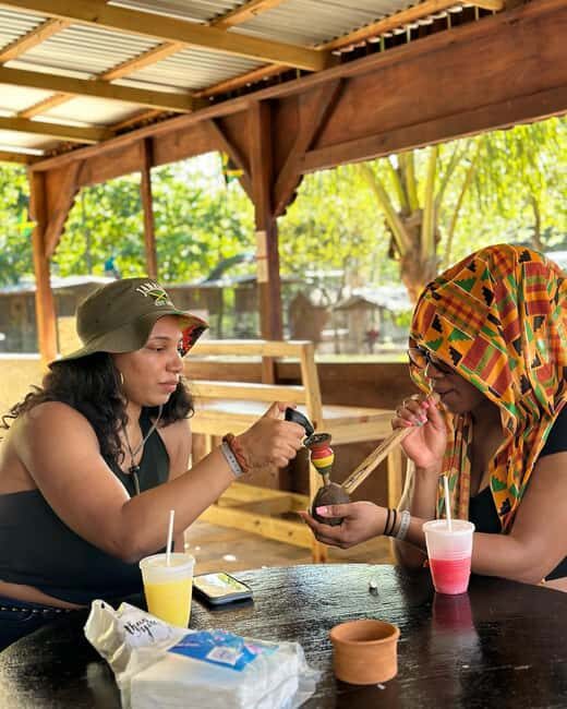Montego Bay: Marijuana Farm Private Tour with Transportation - What you learn on the marijuana farm: culture, economics, and real cultivation