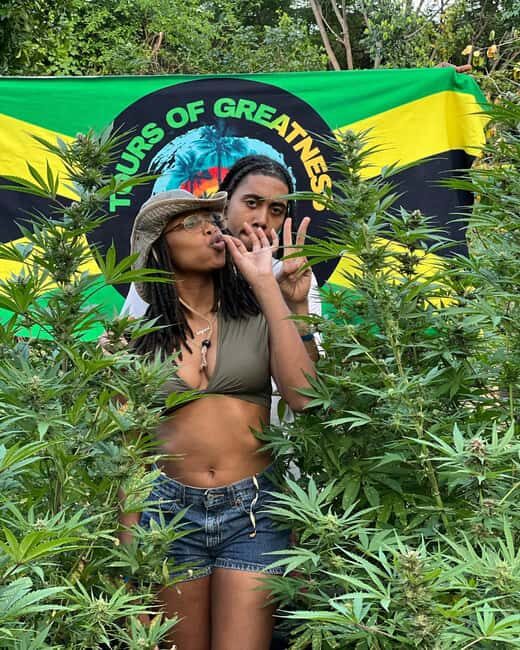 Montego Bay Marijuana Farm Tour - Montego Bay Farm Tour: What You’re Actually Signing Up For