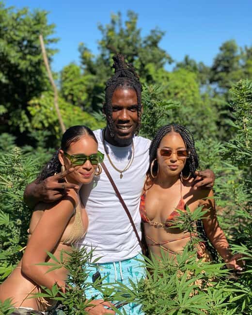 Montego Bay Marijuana Farm Tour - Culture Talk on the Plantation: Rastafari and Medicinal Uses