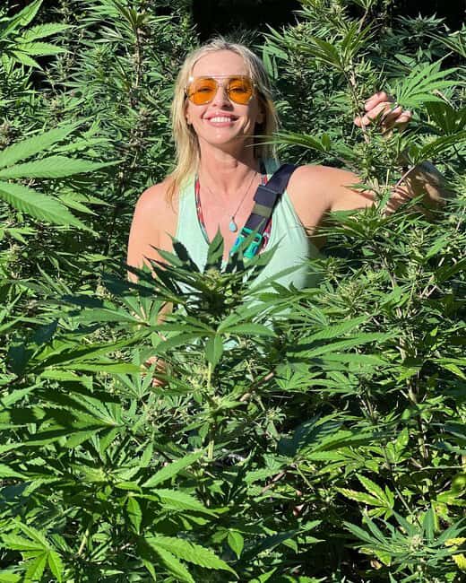 Montego Bay Marijuana Farm Tour - Tour Length and Pacing: 1–2 Hours, Private Group Style