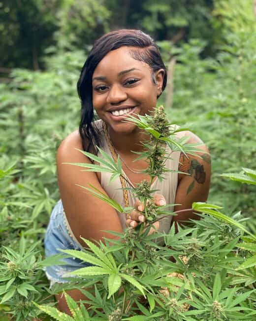 Montego Bay Marijuana Farm Tour - Getting There: Transfers from Montego Bay and Nearby Areas