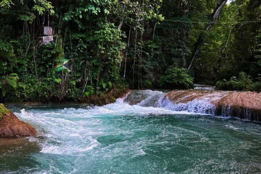 Montego Bay: Private Dunn's River Falls and Blue Hole Tour - Getting From Montego Bay to Ocho Rios: Ride Comfort and Time Reality