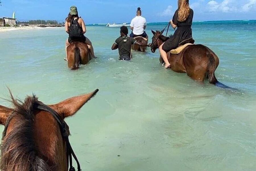 Montego Bay: Private Horseback Ride & Blue Hole Tour - The drive from Montego Bay: why the route matters