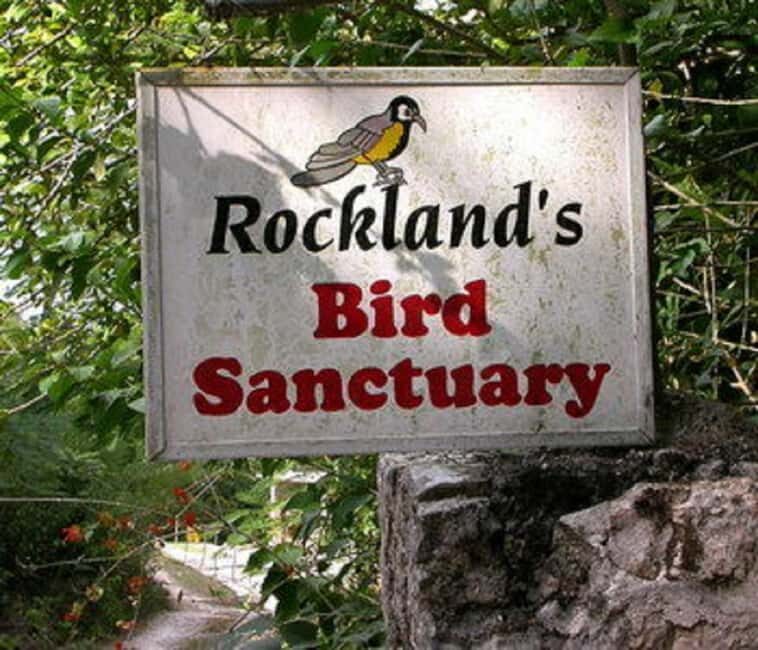 Montego Bay: Private Rocklands Bird Sanctuary Trip - Bird list you can actually use while you’re there