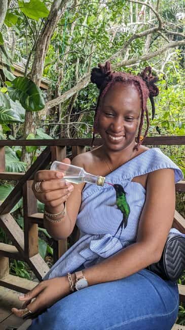 Montego Bay: Private Rocklands Bird Sanctuary Trip - Value for money: who this private bird trip makes sense for