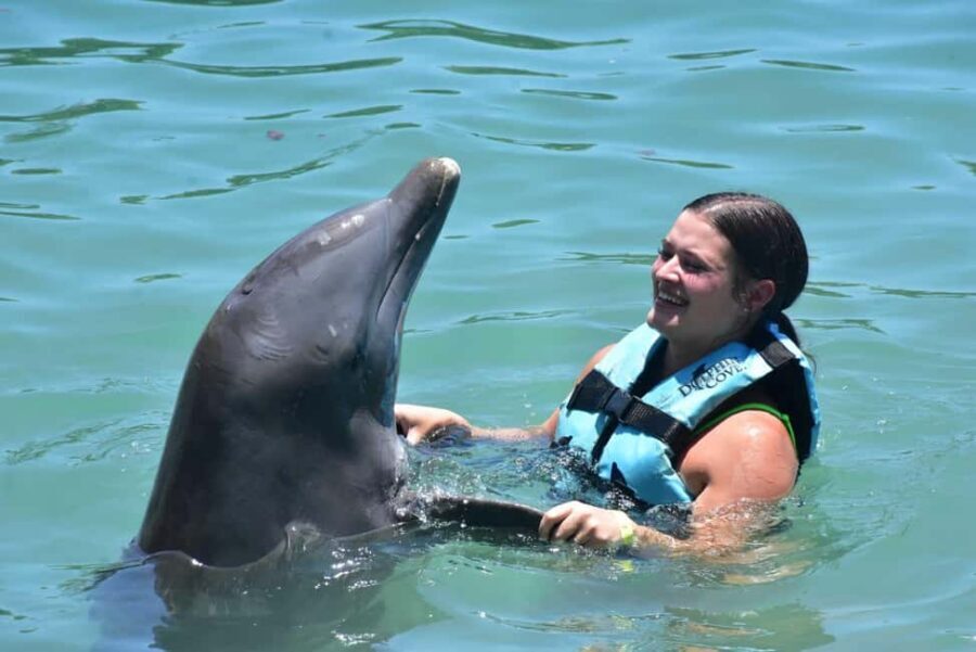 Montego Bay: Swim With The Dolphins Adventure in Lucea - Getting There: Resort Pickups and the Hip Strip Detour