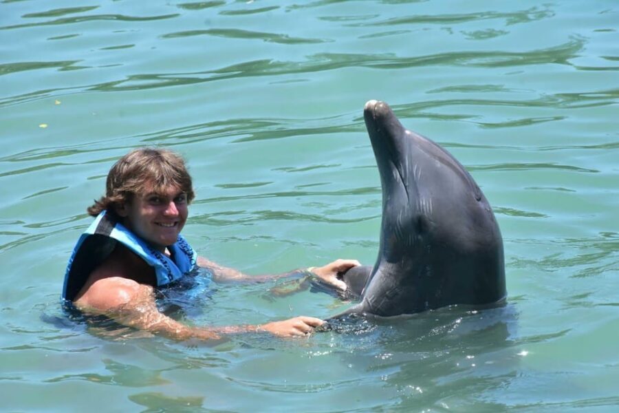 Montego Bay: Swim With The Dolphins Adventure in Lucea - Who This Tour Suits Best (and Who Might Skip It)
