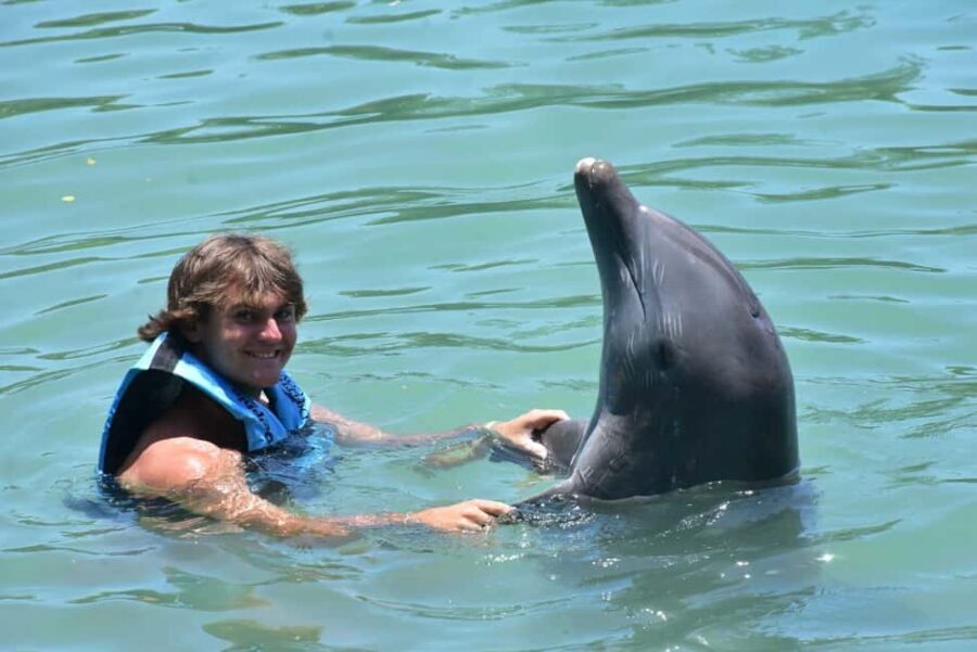 Montego Bay: Swim With The Dolphins Adventure in Lucea - The Dolphin Encounter Portion: Knee-Deep, Up Close, and Guided