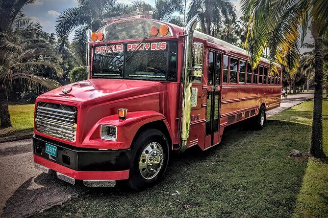Montego Bay to Kingston PickUp & Drop-Off Service UP 20 PEOPLE - The Real Itinerary: From Pickup to Kingston, Then You Call the Moves