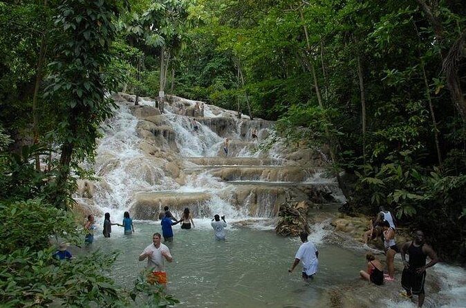 Montego Bay tour: Dunn's River Falls - Who Should Book This Dunn’s River Excursion?