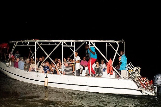 Mystic Lagoon Guided Boat Ride and Swim - Why Mystic Lagoon’s glow is unlike most Jamaica nightlife