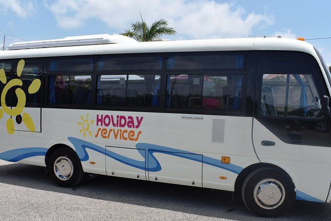 Mystic Lagoon Guided Boat Ride and Swim - The lagoon swim: how to get the best glow in 30 minutes