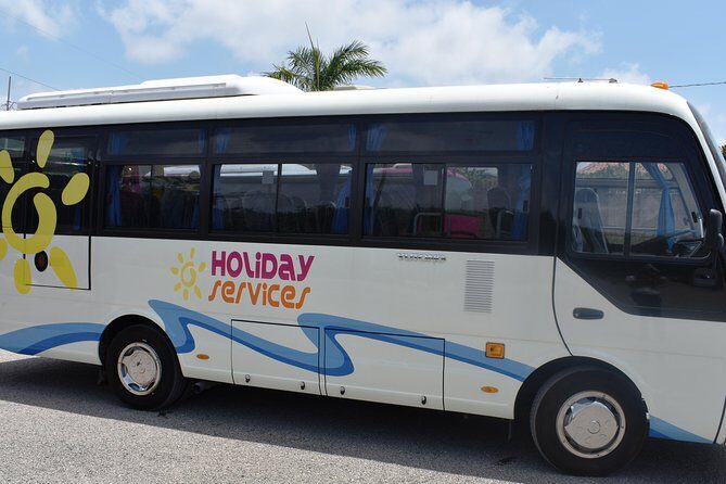 Mystic Luminescent Lagoon Night Cruise & Swim in Jamaica - Weather, moonlight, and why your glow photos may look different
