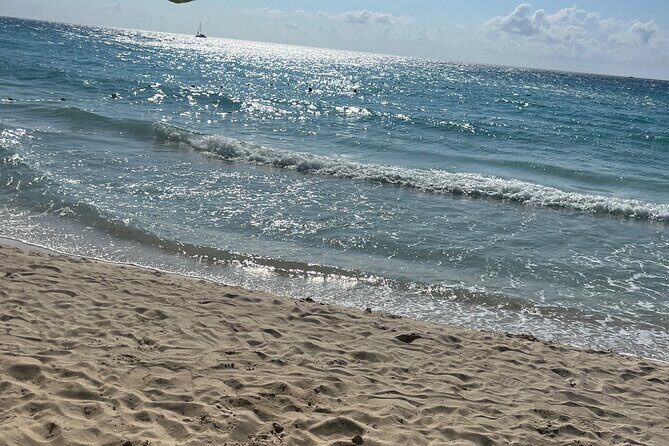 Negril 7 Mile Beach and Ricks Cafe Tour - Pickup, mobile ticket, and small-group comfort