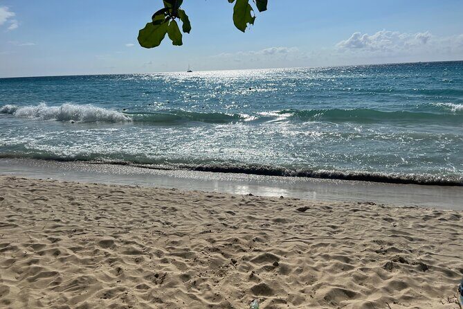 Negril 7 Mile Beach and Ricks Cafe Tour - Price and value: what $105 buys you (and why it’s reasonable)