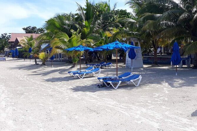 Negril 7 Miles Beach and Rick's Cafe Tour - Key highlights before you go
