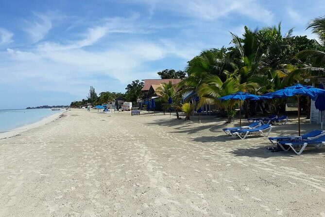 Negril 7 Miles Beach and Rick's Cafe Tour - Price and value: what $131 actually covers