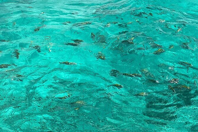 Negril and Ricks Cafe Sunset Tour with Boat Ride and Snorkeling - Negril in a Single 6-Hour Day: How the Tour Actually Flows