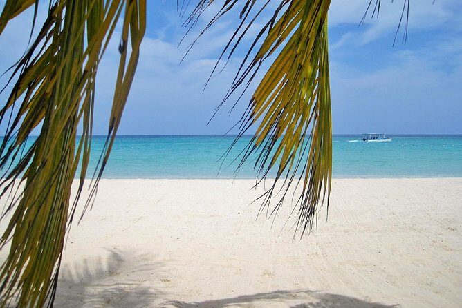 Negril Beach & Ricks Cafe from Montego Bay - Air-Conditioned Transfers and Drivers Like Marvin and Owen
