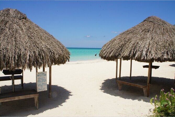 Negril Beach & Rick's Cafe Tour - Private Half-Day Value: Why $85.50 Can Make Sense