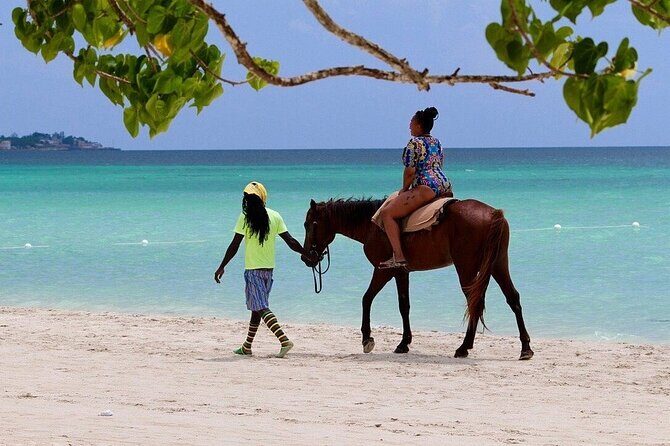 Negril Beach & Rick's Cafe Tour - Price and Logistics: The Real Cost Breakdown in Your Head