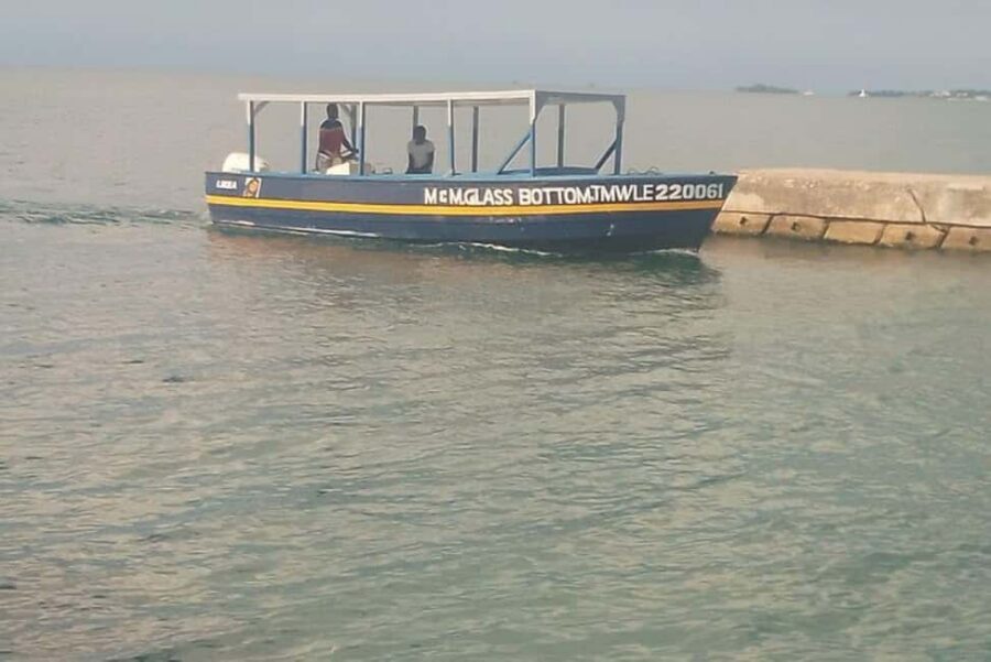 Negril: Booby Cay Island Picnic Tour with Snorkeling - Key highlights at a glance