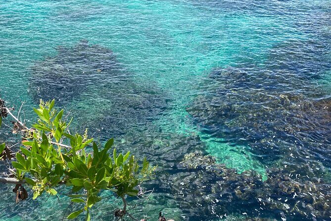Negril day! beach and west end Cliffs with French Guide - Beach Food Options: Lobsters Cooked by Locals