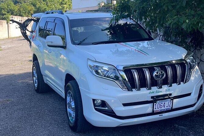 Negril Private Airport Transfer - Vehicle Options: Sedans, Mini Vans, and Buses That Match Your Group
