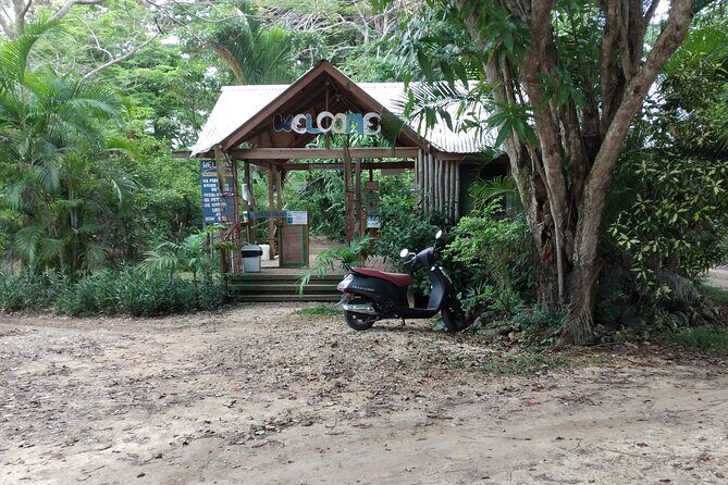 Negril Private and Public Beach with Ricks Cafe from Montego Bay - Price and Timing: What You’re Paying For (and What You’ll Still Need)