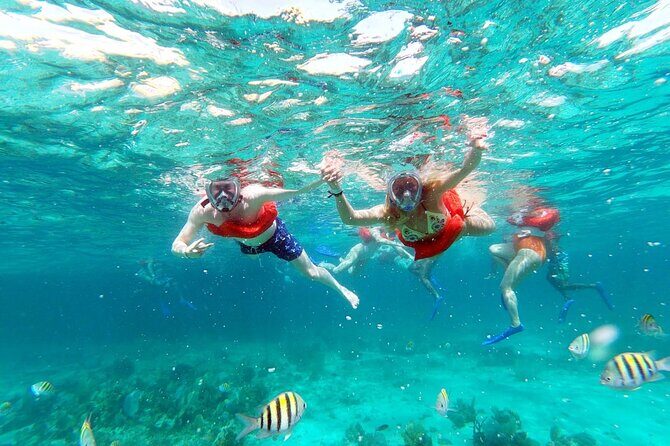 Negril PRIVATE CHARTER Catamaran (rate for 21 persons) - A 4-hour private catamaran day that stays focused